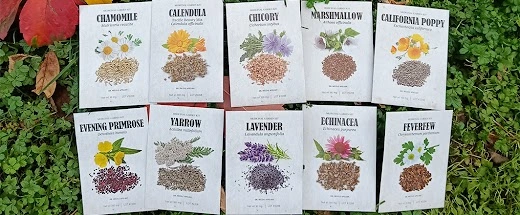 Medicinal Garden Kit individual seed packets including calendula california poppy and echinacea