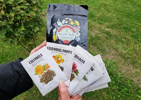 All 10 medicinal herb seed packets from the Medicinal Garden Kit including chamomile lavender yarrow chicory and feverfew